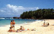 Dominican airport transfers
